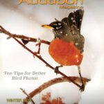 Desert Rivers Audubon Magazine – Winter 2021