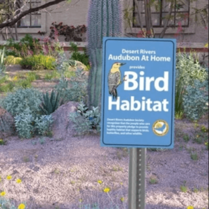 Start Your Own Backyard Bird Habitat!