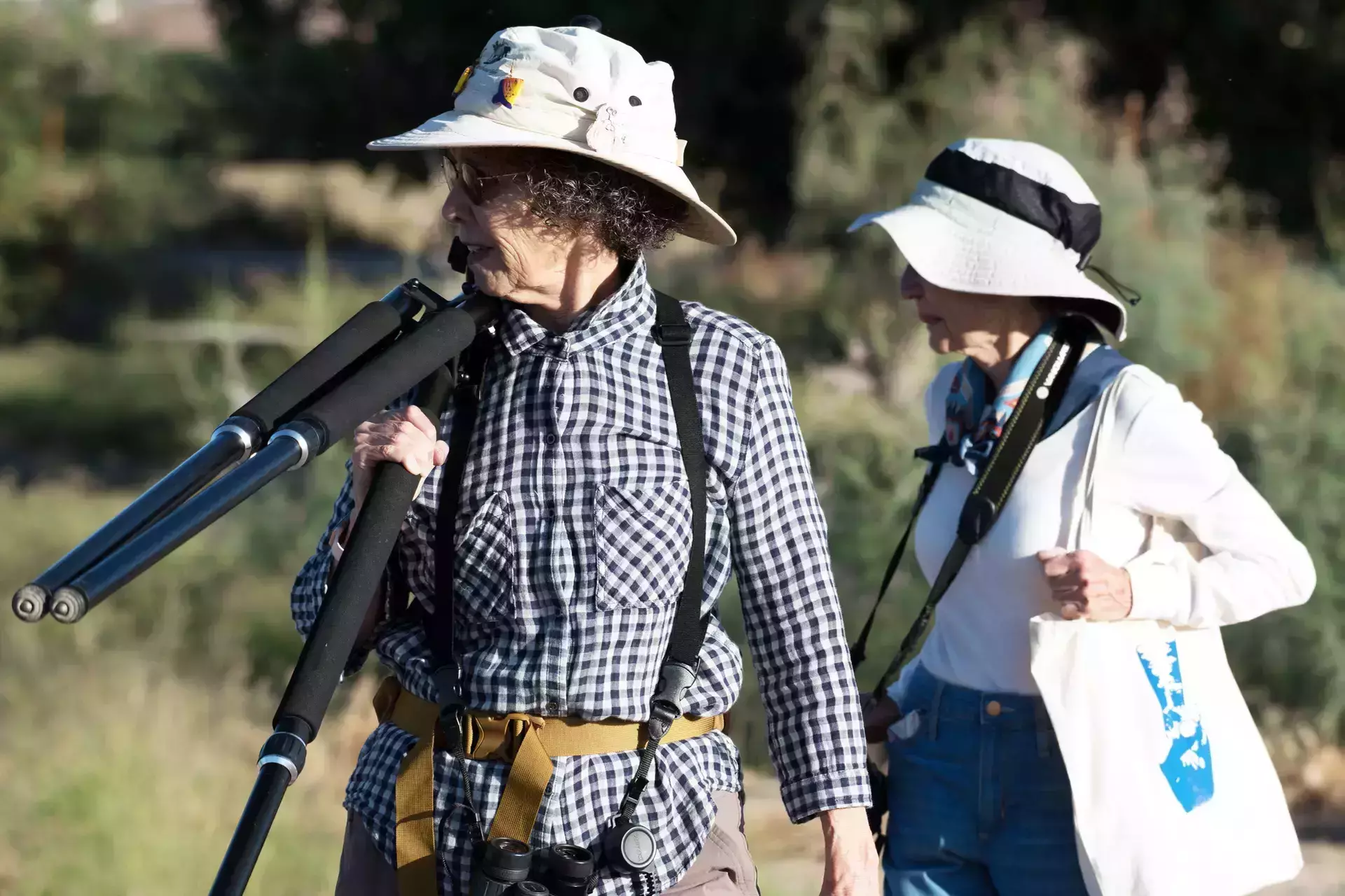 Seasoned birders equipped with binoculars, hats, sunglasses, and camera gear, capturing the beauty of nature.