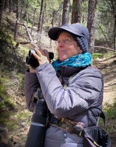 Alice Madar, Director Int’l Hummingbird Society