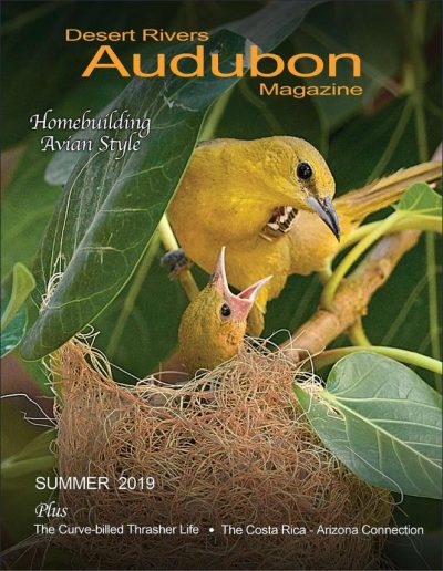 Desert Rivers Audubon Magazine – Summer 2019