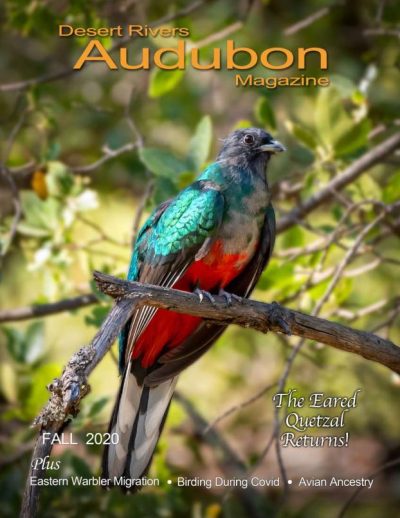 Desert Rivers Audubon Magazine – Fall 2020