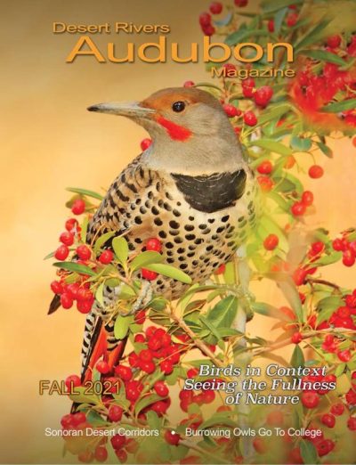 Desert Rivers Audubon Magazine – Fall 2021