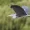 Great Blue Heron - Photo by Radovan Zierik